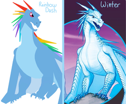 Size: 1272x1051 | Tagged: artist needed, safe, rainbow dash, dragon, g4, claws, comparison, dragonified, rainbow dragon, species swap, spikes, wings of fire (book series), winter