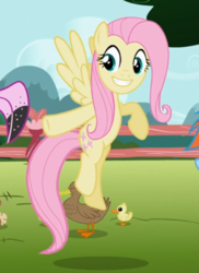 Size: 535x734 | Tagged: safe, screencap, fluttershy, duck, pegasus, pony, g4, may the best pet win, cropped, female, flying, mare, pointing, raised hoof, smiling, solo focus, spread wings, teeth, wings