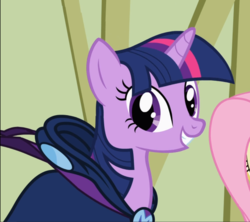 Size: 1054x938 | Tagged: safe, screencap, mare do well, twilight sparkle, pony, unicorn, g4, the mysterious mare do well, arrogant, betrayal, clothes, costume, cropped, female, hypocrisy, mare do well costume, sin of pride, smiling, solo focus, unicorn twilight