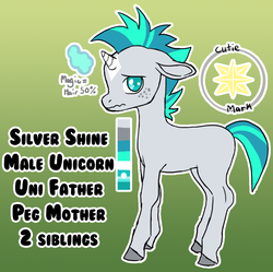 Size: 917x914 | Tagged: safe, artist:redwoodart, oc, oc only, oc:silver shine, pony, unicorn, colt, male, reference sheet, solo