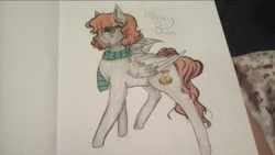 Size: 1136x640 | Tagged: safe, artist:ink driven, oc, oc only, oc:honey bun, pegasus, pony, clothes, female, mare, scarf, solo, traditional art