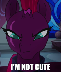 Size: 600x713 | Tagged: safe, edit, edited screencap, editor:twilyisbestpone, screencap, tempest shadow, pony, unicorn, g4, my little pony: the movie, angry, armor, blatant lies, broken horn, bronybait, caption, commander cute, cropped, cute, denial, denial's not just a river in egypt, eye scar, female, frown, furious, horn, i'm not cute, image macro, impact font, irritated, mare, scar, scowl, solo, stained glass, tempestbetes, text, throne room