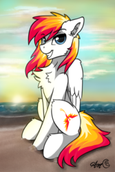 Size: 572x855 | Tagged: safe, artist:arjinmoon, oc, oc only, oc:hotfix, pegasus, pony, beach, chest fluff, ear fluff, fluffy, looking at you, male, ocean, sitting, solo, stallion, sunset, wings