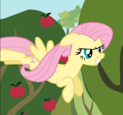 Size: 567x533 | Tagged: safe, screencap, fluttershy, pegasus, pony, g4, my little pony: friendship is magic, the super speedy cider squeezy 6000, apple tree, cropped, determined, female, floppy ears, flying, grin, mare, smiling, solo, tree