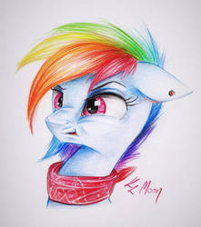 Size: 1024x1160 | Tagged: safe, artist:lailyren, rainbow dash, pony, g4, clothes, colored pencil drawing, disgusted, ear piercing, piercing, reaction image, scarf, traditional art