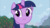 Size: 1669x941 | Tagged: safe, screencap, twilight sparkle, pony, unicorn, g4, the super speedy cider squeezy 6000, apple tree, close-up, female, mare, solo, tree, unicorn twilight