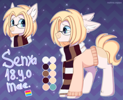 Size: 3698x3000 | Tagged: safe, artist:pesty_skillengton, oc, oc only, oc:senya, pony, clothes, cute, high res, male, reference sheet, scarf, solo, stallion