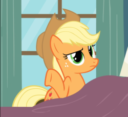 Size: 882x804 | Tagged: safe, screencap, applejack, earth pony, pony, g4, read it and weep, cropped, female, freckles, mare, raised hoof, shrug, solo, underhoof