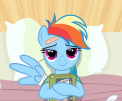 Size: 1140x938 | Tagged: safe, screencap, rainbow dash, pegasus, pony, g4, read it and weep, bandage, bed, book, cropped, female, lidded eyes, lying down, mare, pillow, smiling, solo