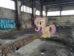 Size: 4000x3000 | Tagged: safe, artist:albertuha, fluttershy, pegasus, pony, g4, female, frown, irl, mare, photo, ponies in real life, russia, solo, winter