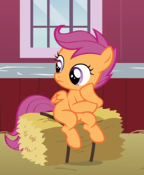 Size: 499x605 | Tagged: safe, screencap, scootaloo, pegasus, pony, g4, hearts and hooves day (episode), cropped, female, filly, hay bale, hoof on cheek, raised hoof, sitting, solo