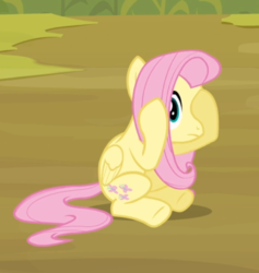 Size: 636x670 | Tagged: safe, screencap, fluttershy, pegasus, pony, g4, putting your hoof down, covering eyes, cropped, female, looking at you, mare, sitting, solo