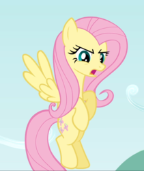 Size: 793x938 | Tagged: safe, screencap, fluttershy, pegasus, pony, g4, putting your hoof down, cropped, female, flying, mare, open mouth, solo, spread wings, wings