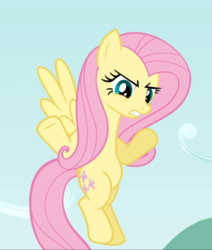 Size: 795x938 | Tagged: safe, screencap, fluttershy, pegasus, pony, g4, putting your hoof down, cropped, female, fluttershy is not amused, flying, mare, solo, spread wings, unamused, wings