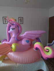 Size: 4032x3024 | Tagged: safe, artist:arniemkii, princess cadance, alicorn, inflatable pony, pony, g4, bootleg, hongyi, inflatable, inflatable alicorn, inflatable float, inflatable toy, irl, photo, pool toy