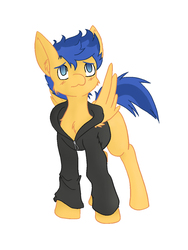 Size: 900x1200 | Tagged: safe, artist:steelsoul, flash sentry, pegasus, pony, g4, cheek fluff, chest fluff, clothes, cute, diasentres, ear fluff, equestria girls outfit, hoodie, male, no pupils, simple background, solo, stallion, white background, wing fluff