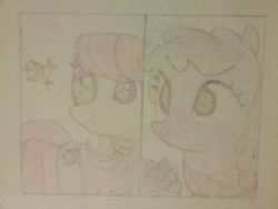 Size: 2592x1944 | Tagged: safe, artist:jerryakira80, oc, oc only, oc:strawberry moon, oc:sweetie rose, earth pony, pegasus, pony, female, mare, traditional art