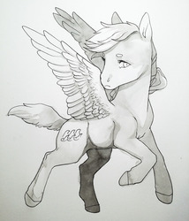 Size: 1280x1497 | Tagged: safe, artist:amphoera, oc, oc only, oc:gale force, pegasus, pony, grayscale, monochrome, simple background, solo, spread wings, wings