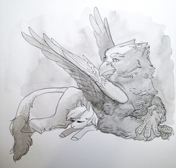 Size: 1280x1218 | Tagged: safe, artist:amphoera, oc, oc only, oc:venti via, classical hippogriff, hippogriff, pony, duo, gray background, grayscale, inktober, monochrome, simple background, sleeping