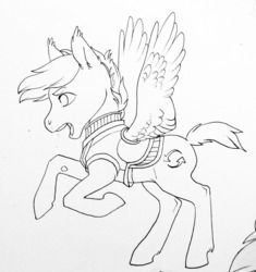 Size: 1280x1362 | Tagged: safe, artist:amphoera, oc, oc only, oc:gale force, pony, armor, monochrome, open mouth, simple background, solo, spread wings, white background, wings