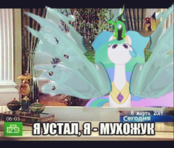 Size: 604x511 | Tagged: safe, princess celestia, queen chrysalis, pony, g4, season 9, boris yeltsin, cyrillic, female, impact font, insect wings, looking at you, meme, russian, russian meme, solo, spread wings, wings