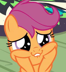 Size: 477x516 | Tagged: safe, screencap, scootaloo, pegasus, pony, g4, the washouts (episode), cute, cutealoo, female, filly, happy, lip bite, squishy cheeks