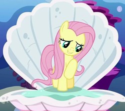 Size: 735x655 | Tagged: safe, screencap, fluttershy, pony, fame and misfortune, g4, clam, cropped, female, flawless, mare, ocean, shell, solo
