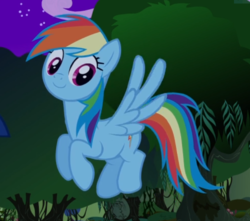 Size: 641x566 | Tagged: safe, screencap, rainbow dash, pegasus, pony, dragon quest, g4, cropped, cute, dashabetes, female, flying, mare, smiling, solo