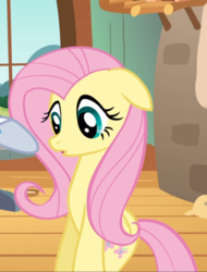 Size: 712x937 | Tagged: safe, screencap, fluttershy, pegasus, pony, g4, hurricane fluttershy, bipedal, cropped, female, floppy ears, mare, offscreen character, open mouth, solo focus