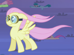 Size: 880x660 | Tagged: safe, screencap, bons away, fluttershy, slipstream, spring melody, sprinkle medley, pegasus, pony, g4, hurricane fluttershy, background pony, cropped, cute, female, floppy ears, flying, goggles, mare, shyabetes, smiling, solo focus, windswept mane, windswept tail