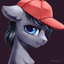 Size: 3000x3000 | Tagged: safe, artist:inowiseei, oc, oc only, oc:sharpie, pony, bust, cap, commission, hat, high res, looking at you, male, portrait, profile, solo, stallion