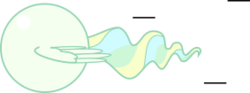 Size: 283x105 | Tagged: safe, artist:mega-poneo, vapor trail, pegasus, pony, g4, ball, crossover, female, mare, motion lines, rolling, simple background, solo, sonic the hedgehog (series), spin dash, spread wings, transparent background, vaporball, wings