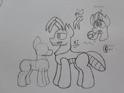 Size: 2576x1932 | Tagged: safe, artist:drheartdoodles, oc, oc:xi, bug pony, insect, pony, antenna, forked tongue, mandibles, monochrome, mouth, size difference, sketch, tongue out, traditional art