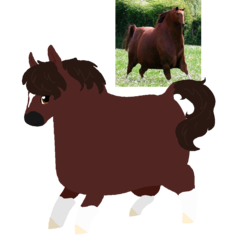 Size: 940x980 | Tagged: safe, artist:nootaz, oc, oc only, pony, coat markings, dock, hoers, majestic as fuck, ponified animal photo, simple background, socks (coat markings), transparent background