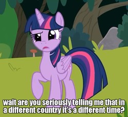 Size: 944x864 | Tagged: safe, edit, edited screencap, screencap, twilight sparkle, alicorn, pony, g4, non-compete clause, caption, confused, cropped, female, forest, horn, image macro, mare, raised hoof, solo, text, time zone, twilight sparkle (alicorn), wings