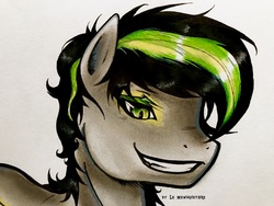 Size: 4032x3024 | Tagged: safe, artist:le mewsquetaire, oc, oc only, oc:langou, pony, drawing, fanart, green eyes, male, smiling, solo, stallion, yellow eyes