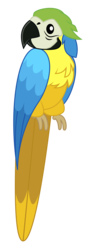 Size: 1451x4096 | Tagged: safe, artist:amarthgul, bird, blue-and-yellow macaw, macaw, parrot, equestria girls, equestria girls specials, g4, my little pony equestria girls: better together, my little pony equestria girls: spring breakdown, ambiguous gender, animal, show accurate, simple background, solo, transparent background, vector