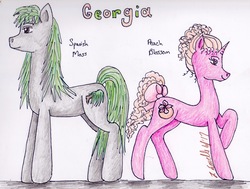 Size: 2168x1640 | Tagged: safe, artist:pristine1281, part of a set, oc, oc only, oc:peach blossom, oc:spanish moss, earth pony, pony, unicorn, female, georgia (state), male, mare, part of a series, stallion, traditional art