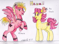 Size: 2260x1683 | Tagged: safe, artist:pristine1281, part of a set, oc, oc only, oc:kilauea, oc:pua aloalo, earth pony, pegasus, pony, female, flower, flower in hair, hawaii, male, mare, part of a series, stallion