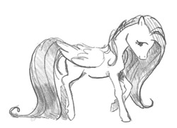 Size: 1280x929 | Tagged: safe, artist:spectralunicorn, fluttershy, pegasus, pony, g4, female, folded wings, looking at you, mare, monochrome, profile, raised hoof, sketch, smiling, solo, traditional art, wings