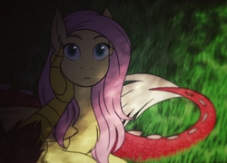 Size: 1482x1070 | Tagged: safe, artist:tamersworld, discord, fluttershy, pegasus, pony, g4, cute, ear fluff, female, male, male pov, mare, offscreen character, pov, ship:discoshy, shipping, shyabetes, straight