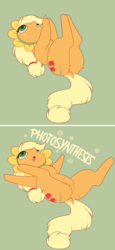 Size: 1292x2800 | Tagged: safe, artist:evehly, applejack, earth pony, pony, 2 panel comic, applebutt, belly button, butt, butt fluff, chest fluff, comic, cute, dock, featureless crotch, female, jackabetes, karate choppers, majestic as fuck, mare, parody, photosynthesis, plot, silly, silly pony, solo, spongebob squarepants, who's a silly pony