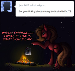 Size: 844x800 | Tagged: safe, artist:casynuf, oc, oc:pun, earth pony, pony, ask pun, ask, campfire, female, fire, implied oc, mare, photo