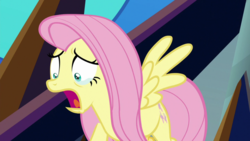 Size: 1920x1080 | Tagged: safe, screencap, fluttershy, pegasus, pony, g4, the beginning of the end, crying, female, mare, open mouth, shrunken pupils, solo, spread wings, wings