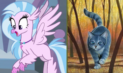 Size: 527x316 | Tagged: safe, silverstream, cat, hippogriff, g4, comparison, female, name pun, namesake, pun, silverstream (warriors), visual pun, warrior cats, warriors