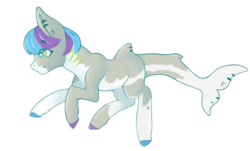Size: 1032x624 | Tagged: safe, artist:laptopdj, derpibooru exclusive, oc, oc only, original species, shark pony, colored hooves, piercing, simple background, solo, white background