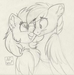 Size: 3465x3500 | Tagged: safe, artist:airfly-pony, oc, oc only, oc:pestyskillengton, oc:silvernote, pony, rcf community, blushing, chest fluff, high res, lineart, looking at each other, shipping, shy, traditional art
