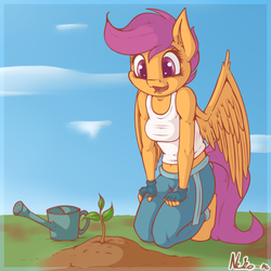 Size: 1200x1200 | Tagged: safe, artist:neko-me, scootaloo, anthro, apple bloomers, g4, breasts, busty scootaloo, clothes, cute, cutealoo, ear fluff, female, filly, fingerless gloves, gloves, midriff, older, pants, plant, smiling, solo, tank top, watering can, wing fluff