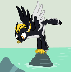 Size: 1592x1612 | Tagged: safe, artist:rioshi, artist:starshade, oc, oc only, oc:ping wing, bird, classical hippogriff, hippogriff, penguin, happy, looking down, male, palindrome get, quadrupedal, solo, spread wings, water, wings, yoga