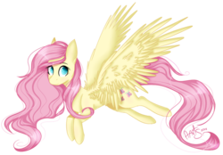 Size: 886x616 | Tagged: safe, artist:ayoarts, fluttershy, pegasus, pony, g4, cute, female, flying, large wings, mare, pretty, shyabetes, signature, simple background, solo, transparent background, wings